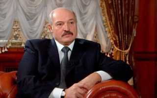 Лукашенко на 11 лет старше и на 20 см выше Медведева